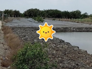 Bán đất đường Rừng Sác Cần Giờ chính chủ