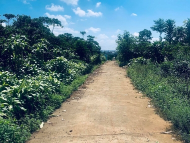 Đất 10x50m2 Hẻm Lê Phụng Hiểu P Lộc Tien61n TP Bảo Lộc