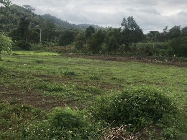 CHÍNH CHỦ CẦN BÁN HƠN 5000M2 ĐẤT XÃ EA TIÊU- CƯ KUIN- ĐĂK LĂK