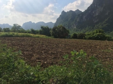 GIÓ ĐƯA CÀNH TRÚC LÀ ĐÀ EM XINH EM ĐỨNG MỘT MÌNH CŨNG XINH EM ĐÂY CHỐNG DỊCH VÔ TƯ VẬY NÊN CHẢ SỢ CÓ