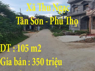 Bán nhà Khu Tân An, Xã Thu Ngạc, Tân Sơn, Phú Thọ