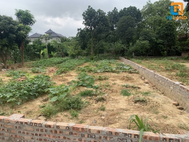 Chính chủ xả lỗ 250m Thái Lai-Minh Trí đường 5m thông thoáng,MT 10,6m vuông vắn