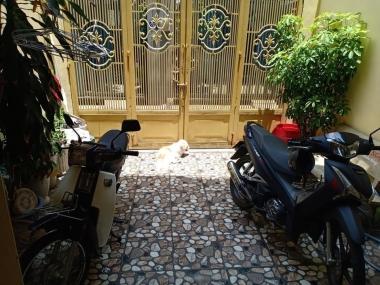 Khu Bàu Cát P14 Tân Bình, 2 tầng BTCT kiên cố, 82m2 3 mặt thông thoáng kinh doang Sầm Uất