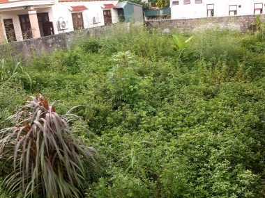 Đầu tư thời covid là thời điểm tốt nhất! Chỉ 12 tr/m2 ( giá đất xung quanh 16tr÷21