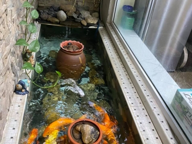 Bán nhà đẹp - Mai Anh Tuấn - Đống Đa