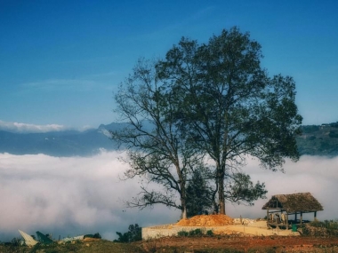 CƠ HỘI VÀNG  để sở hữu mảnh đất 400m2 Choản Thèn - Y Tý( Sapa2) - Lào Cai -  GIÁ RẺ