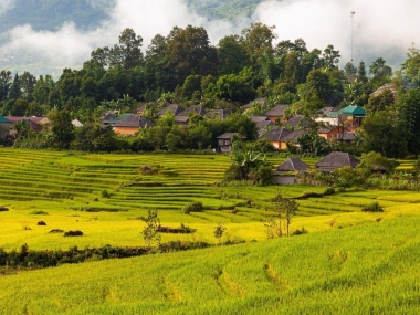 Bat_Dong_San Sapa 2 (Y_Tý) đón quy hoạch du lịch sinh thái biển mây