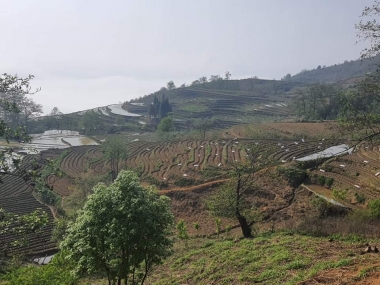 Đón đầu sóng quy hoạch 1/2000 tại điểm săn mây đẹp nhất Sapa 2