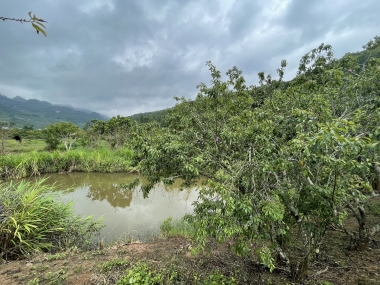 Bán mảnh đất gần Thác Dải Yếm, giá rẻ nhất Mộc châu, phù hợp làm nghỉ dưỡng