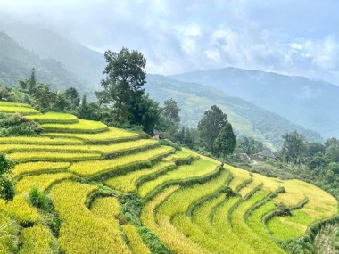 CC cần tiền bán mảnh đất view vô cùng đẹp ,giá đầu tư