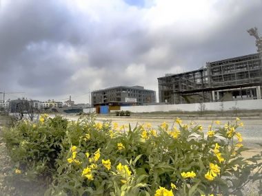 Bán Shophouse East Center Trâu Quỳ, Gia Lâm. Kinh doanh sầm uất nhất. Lh 0936098052