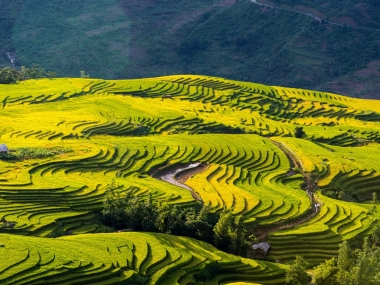 Bán mảnh đất trung tâm view ruộng bậc thang đẹp nhất Y Tý SaPa 2