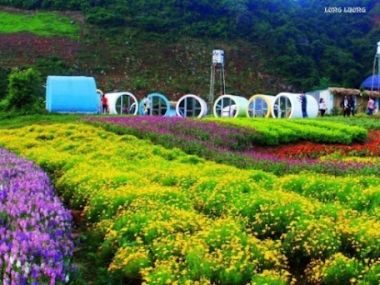 Bán mảnh đất view thung lũng,phù hợp xd Homestay, gần bến xe,giá đầu tư