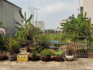 Bán Lô Đất Mặt Tiền Đường Số 2 - Khu Dân Cư Bình Dân - Hiệp Bình Chánh - Thành Phố Thủ Đức