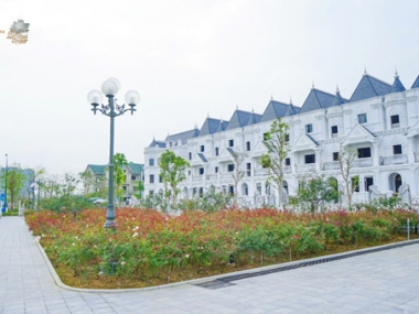 Mở bán 81 lô Biệt thự Vimefulland Tây Hồ , chiết khấu 5%. Hỗ trợ lãi suất 0% 12 tháng