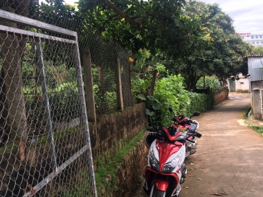 Mảnh đất trung tâm Mộc Châu, đã có thổ cư, giá cạnh tranh tốt cho nhà đầu tư