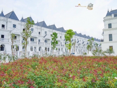 Chính sách khủng cho dòng Biệt thự siêu sang Khu Đô thị Ciputra Tây Hồ. Chỉ từ: 31 tỷ/lô